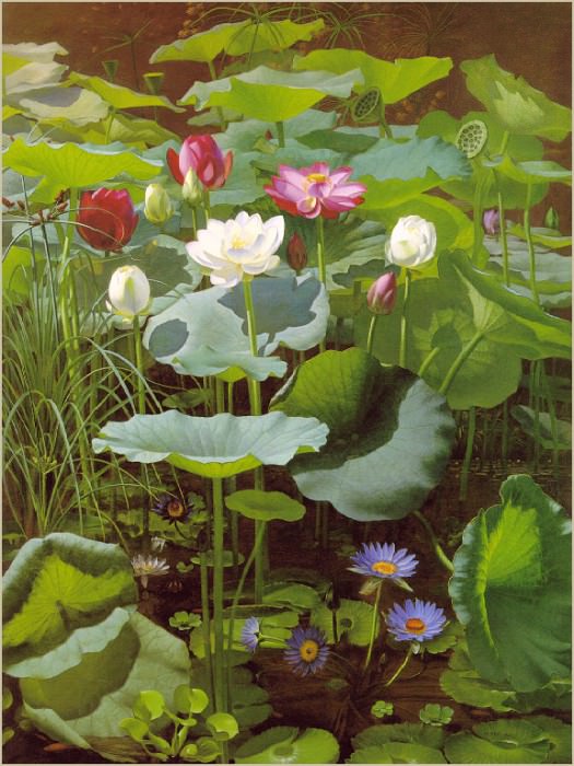 http://sr.gallerix.ru/1066739957/O/674643951/
