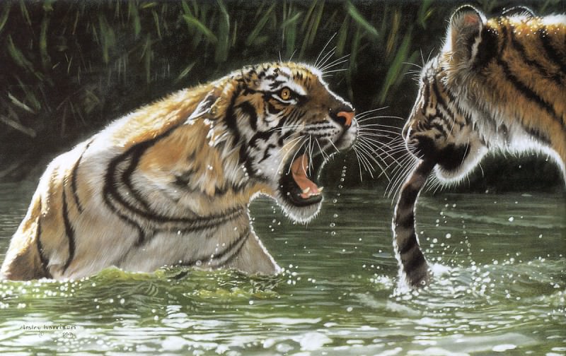 kb Harrison A Tiger By the Tail, �����: Harrison, LesleyHarrison, Lesley (�������� �� Gallerix.ru)
