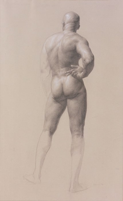   - Male Figure drawing