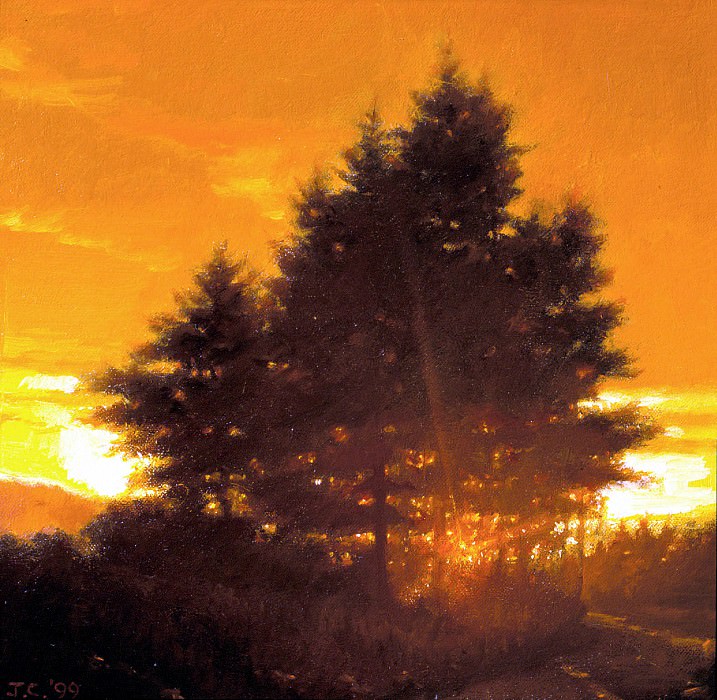   - Sunset Tree