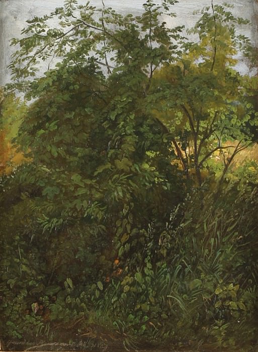 ����� 1 - ������������ ��������� ����������� �������� - Christian Friedrich Gille   Wooden Rise near Plauen   15998 1124