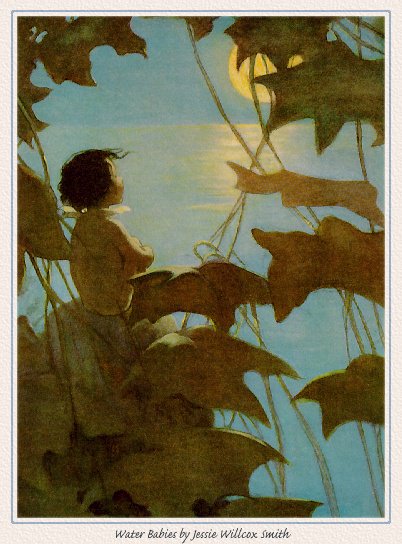 SJ-JWS24, �����: Smith, Jessie Willcox