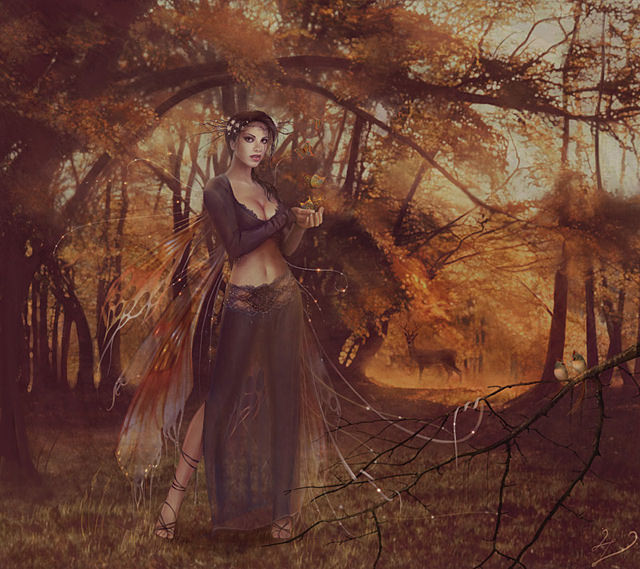 ����� ��������� - palmsofbutterflies