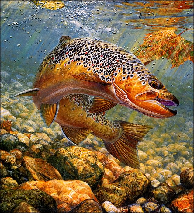 bs-na- Mark Sussino- Duped- Brown Trout, Artist: Sussino, Mark