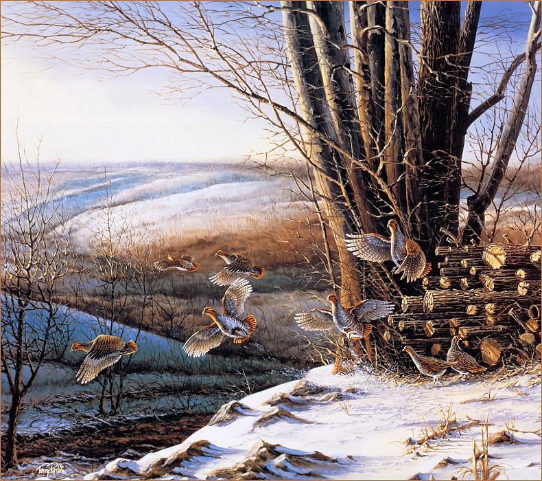  (�������� �� Gallerix.ru)