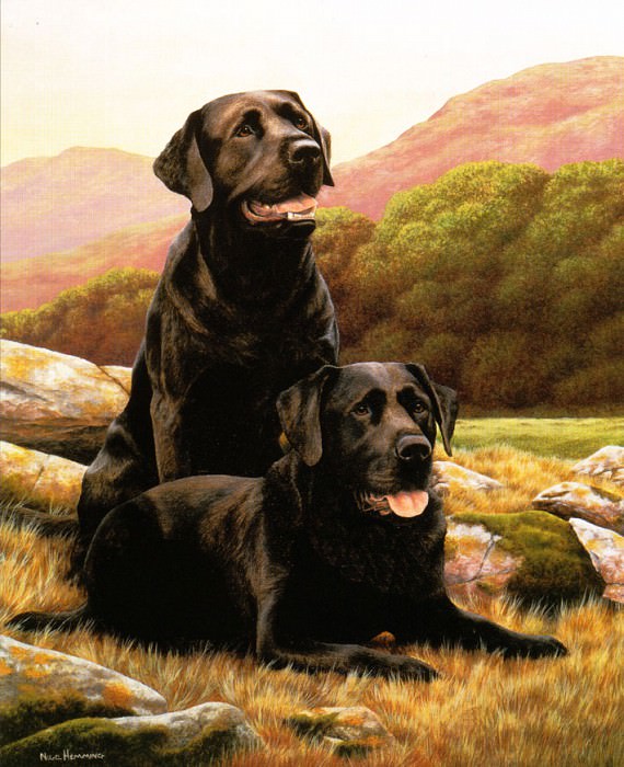 ����������� � ������: Ipl 0010 Taking a Breather NigelHemming sqs, �����: Hemming, Nigel & Daniel Kevin