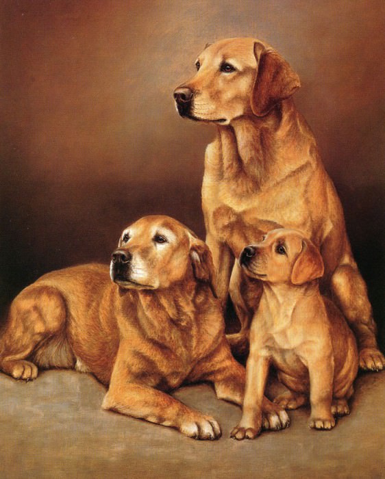 ����������� � ������: Ipl 0004 Generations NigelHemming sqs, �����: Hemming, Nigel & Daniel Kevin