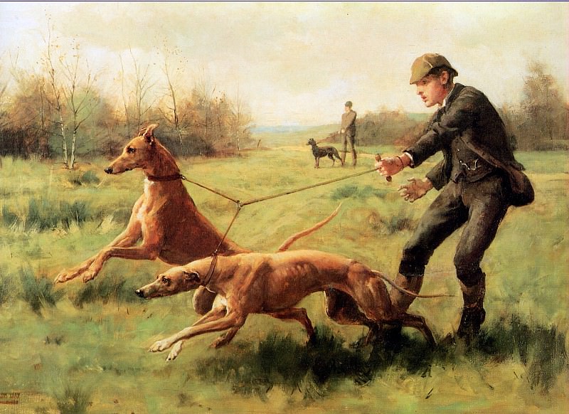 Kilburne George Goodwin Training of greyhounds Sun, �����: Kilburne, George Goodwin (Kilburne ������ ������)