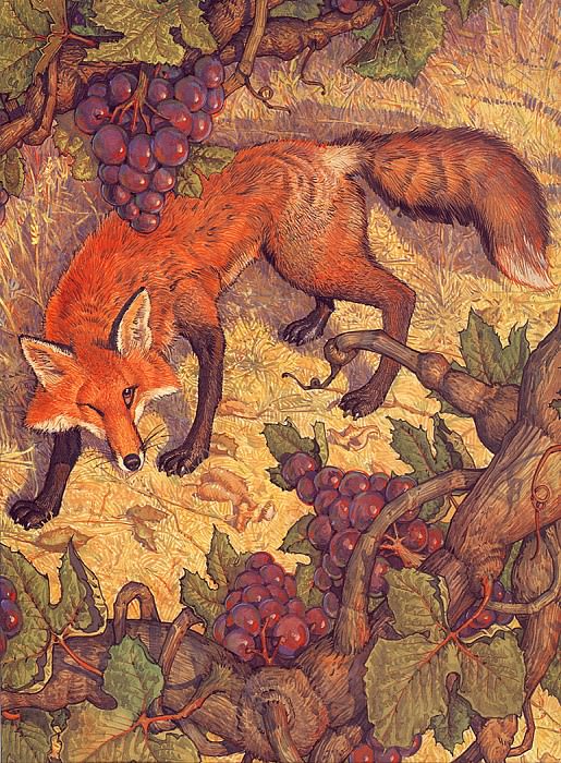 lrsDailyDonFox&theGrapes, �����: Daily, Don