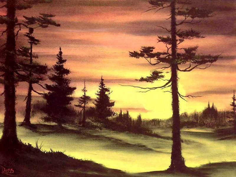 ��� ���� - bob ross csg029 evergreens at sunset