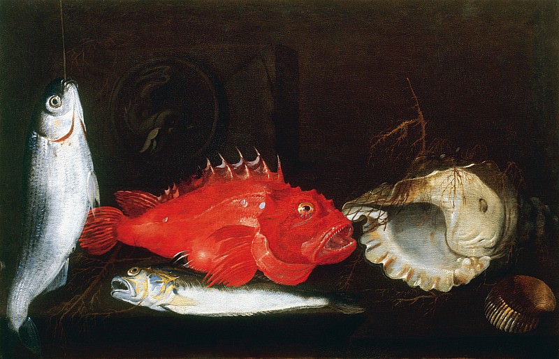 Paolo Porpora   Still Life with Mullet Scorpion Fish Weever two Shells and a Medallion   17940 203, Artist:  ,  4 -- European art, part 4