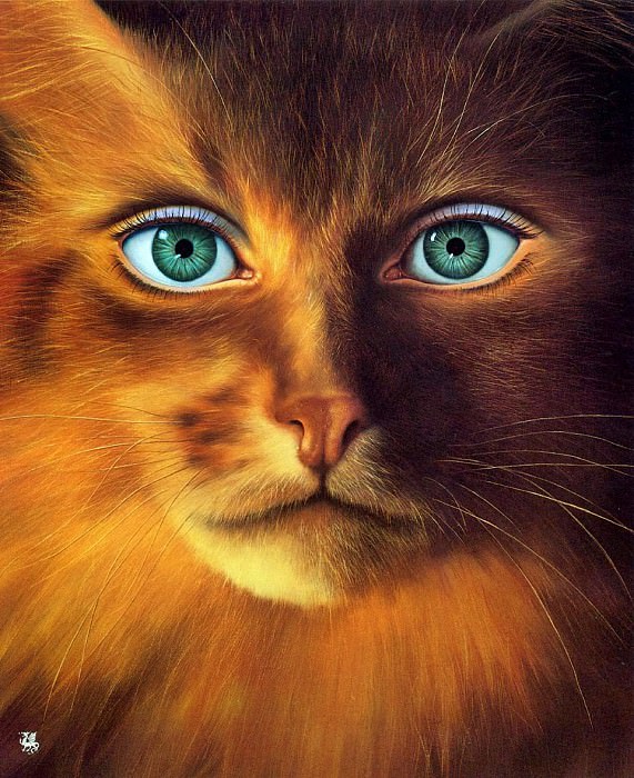 ���� ������ - Cat-Woman