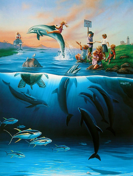 Dolphin Rides. ���� ������
