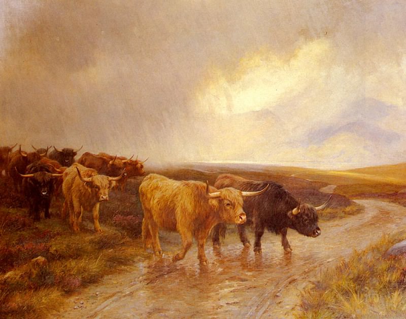 Barker Wright Highland Cattle. ���� ������