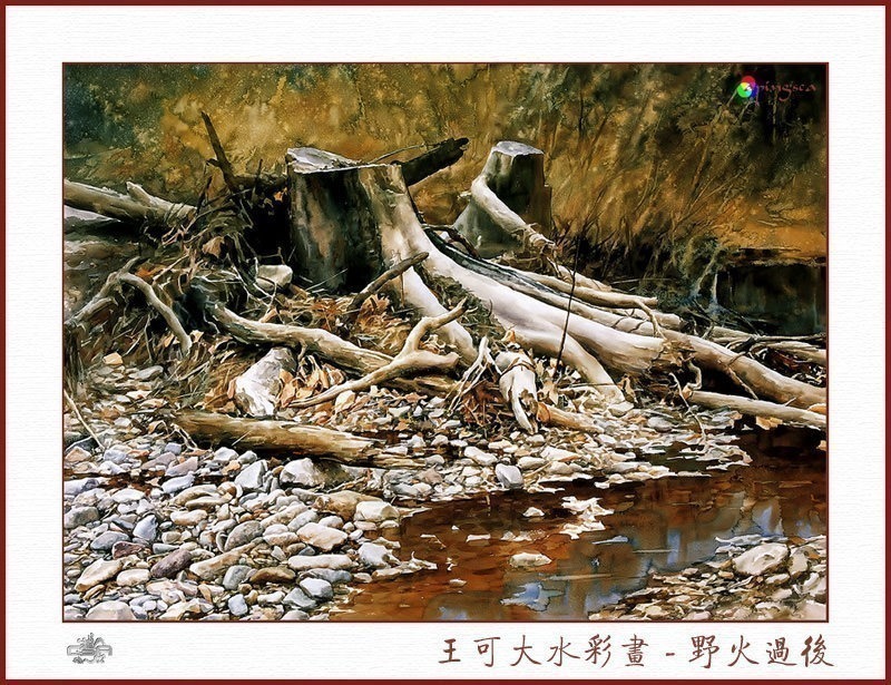 Ke Da Wang - CSA aping WangKeDa 025