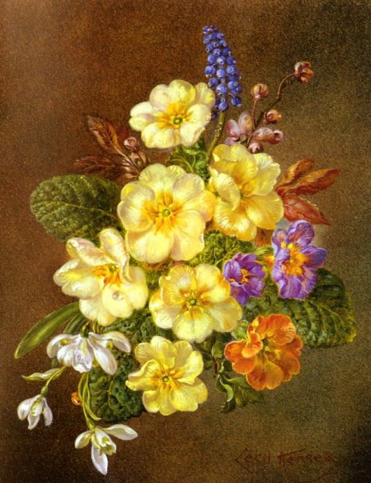 ����� ������� - Kennedy Cecil Spring