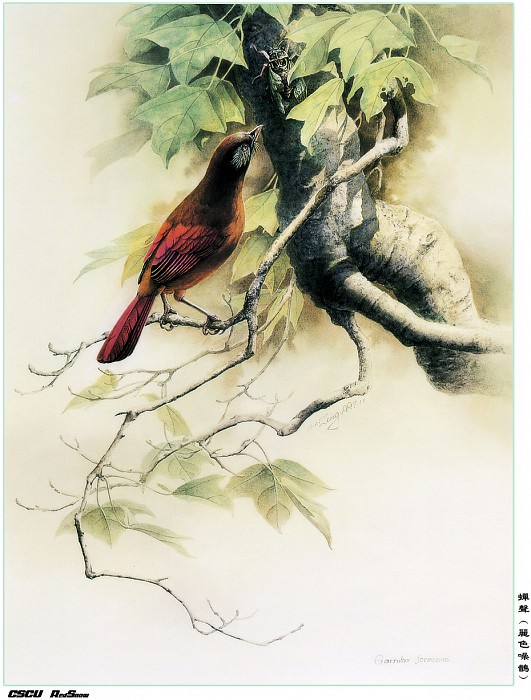 RedSnow CSCU Painting of ZengXiaoLian 06, Автор: Lian, Zeng Xiao
