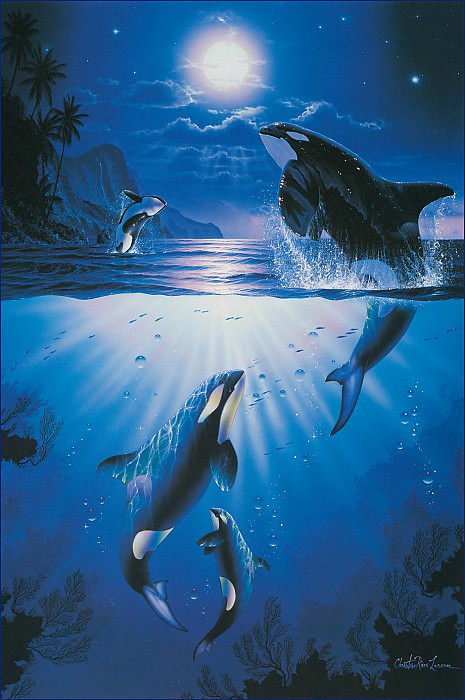 Мистические дельфины-косатки. Кристиан Риес Лассен